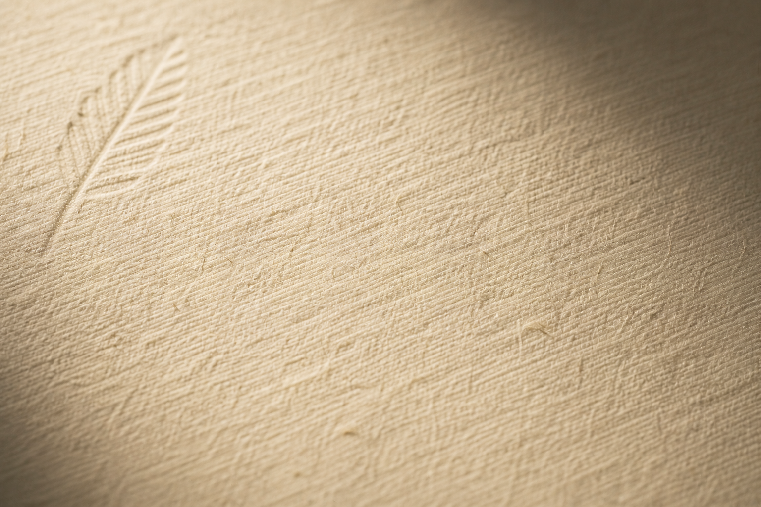 PLUME paper texture close-up